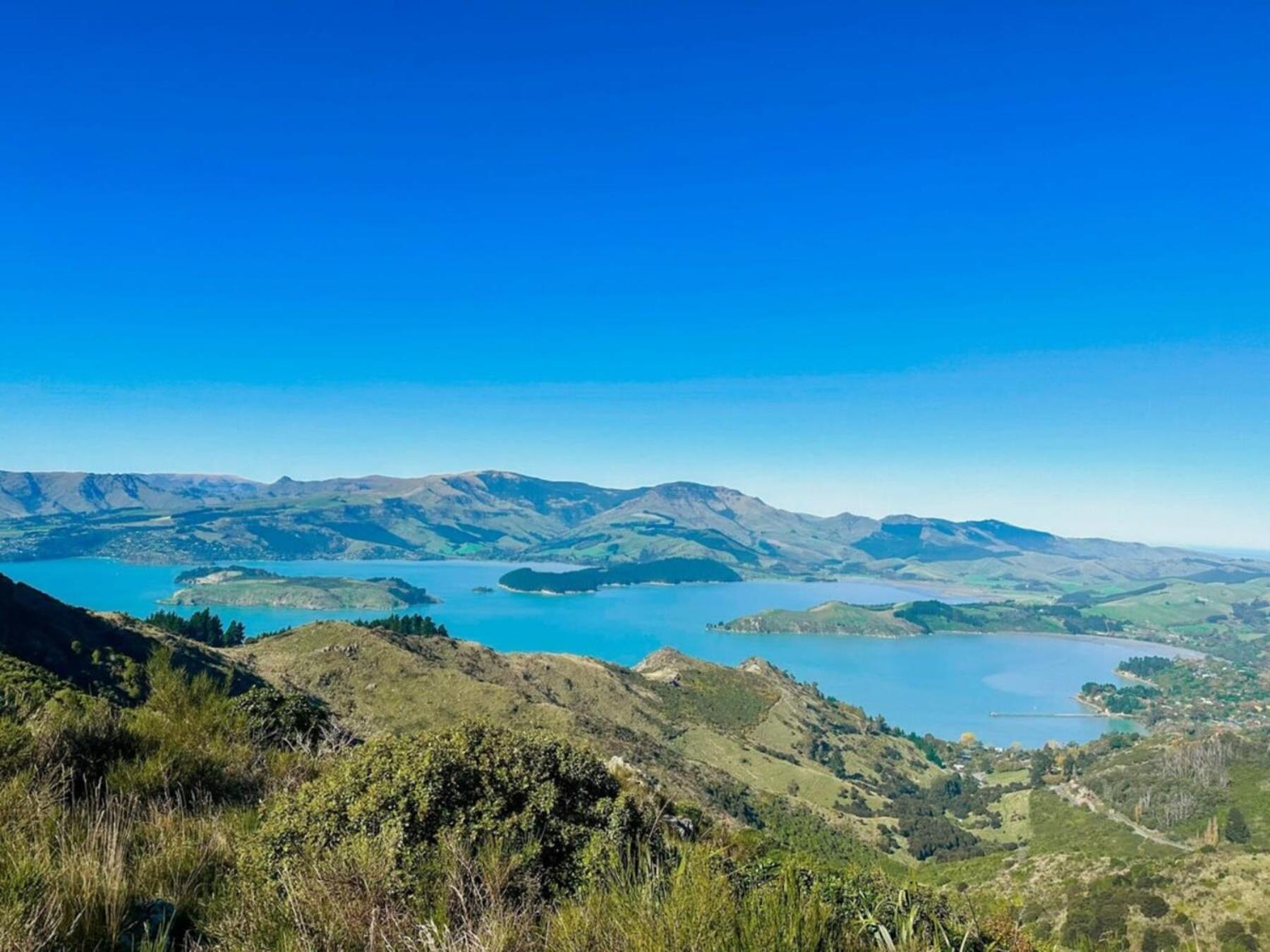 Willa The Outlook By Tiny Away Diamond Harbour Zewnętrze zdjęcie
